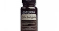 Copaiba /Kopaiva - Entzündungen hemmend und heilend